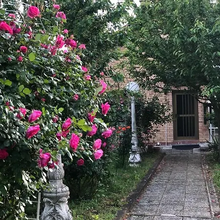 Apartman Elita - Bela Crkva